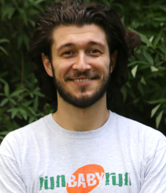 Daniele Polverini